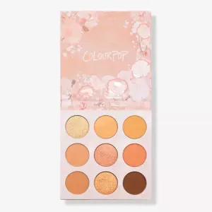 Colourpop Apricot Me Not Eyeshadow Palette